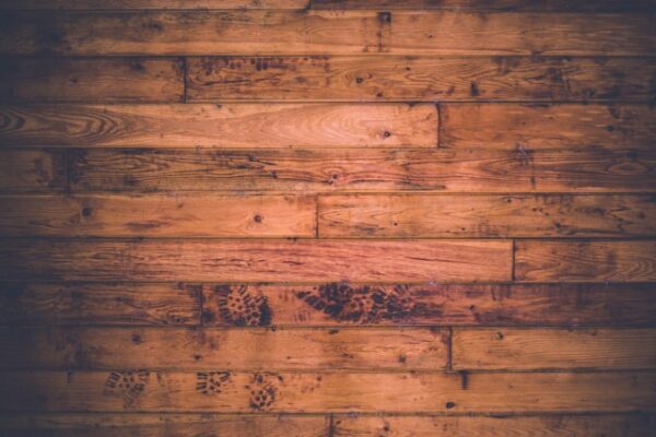 Parkett und Wissenschaft: Forschungsthemen rund um Holz, Design und Nachhaltigkeit